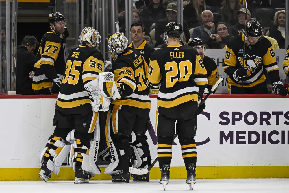 Pittsburgh Penguins game, Alex Nedeljkovic, Tristan Jarry