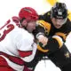 Pittsburgh Penguins, Penguins game, jonathan gruden fight