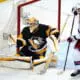 NHL Free agency, Louis Domingue, Pittsburgh Penguins