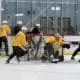 Pittsburgh Penguins, Penguins prospects Development Camp