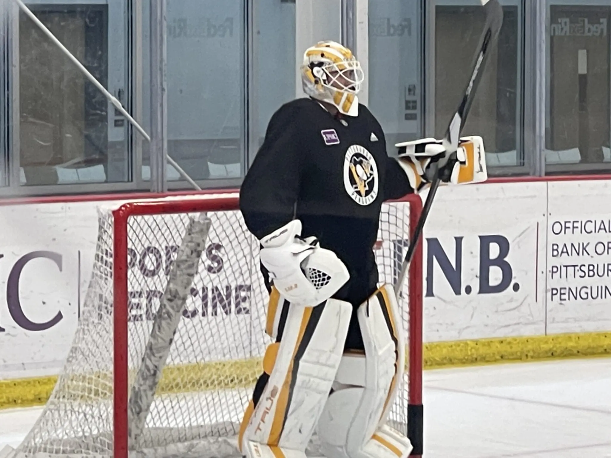 Pittsburgh Penguins, Louis Domingue