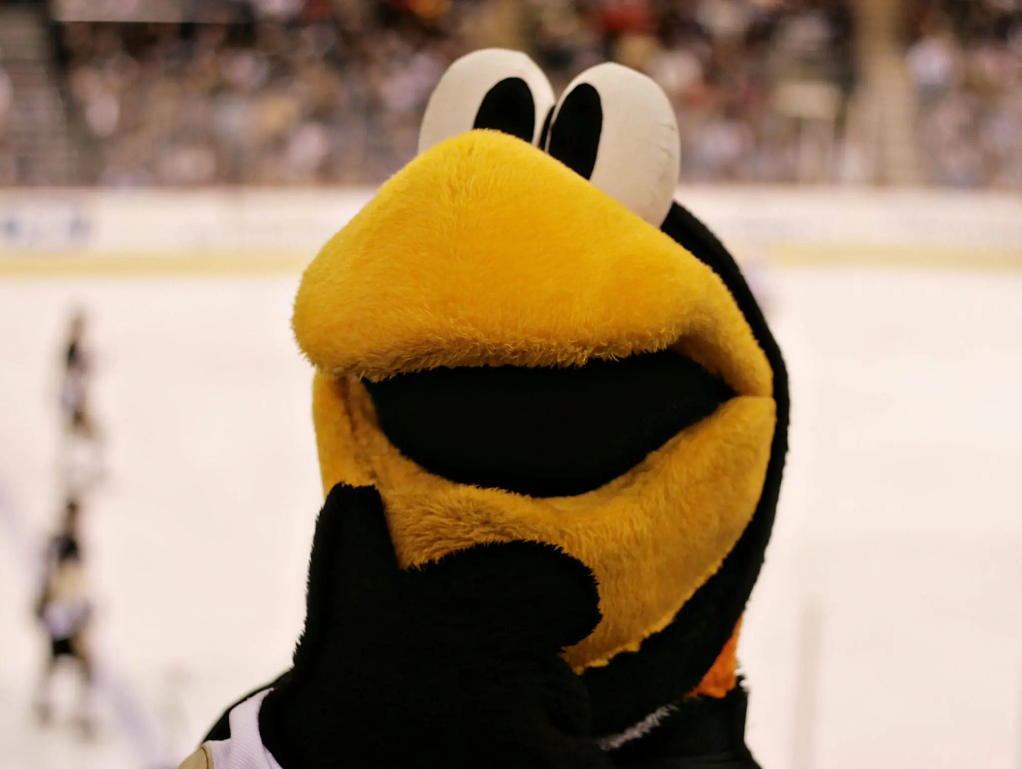 pittsburgh penguins mascot iceburgh