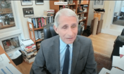 Dr. Fauci testimony NHL Return