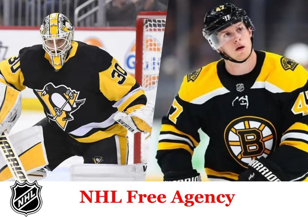 Pittsburgh Penguins, NHL free agent, Matt Murray, Torey Krug