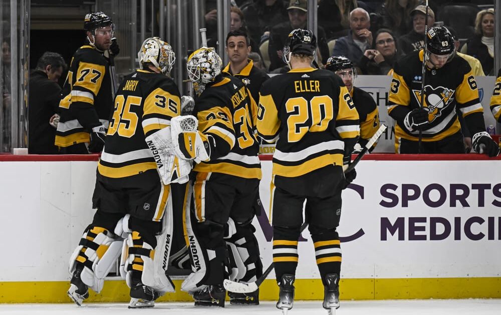 Pittsburgh Penguins game, Alex Nedeljkovic, Tristan Jarry