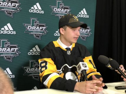 NHL trade, Calen Addison, Pittsburgh Penguins. Minnesota Wild trade Addison to San Jose Sharks