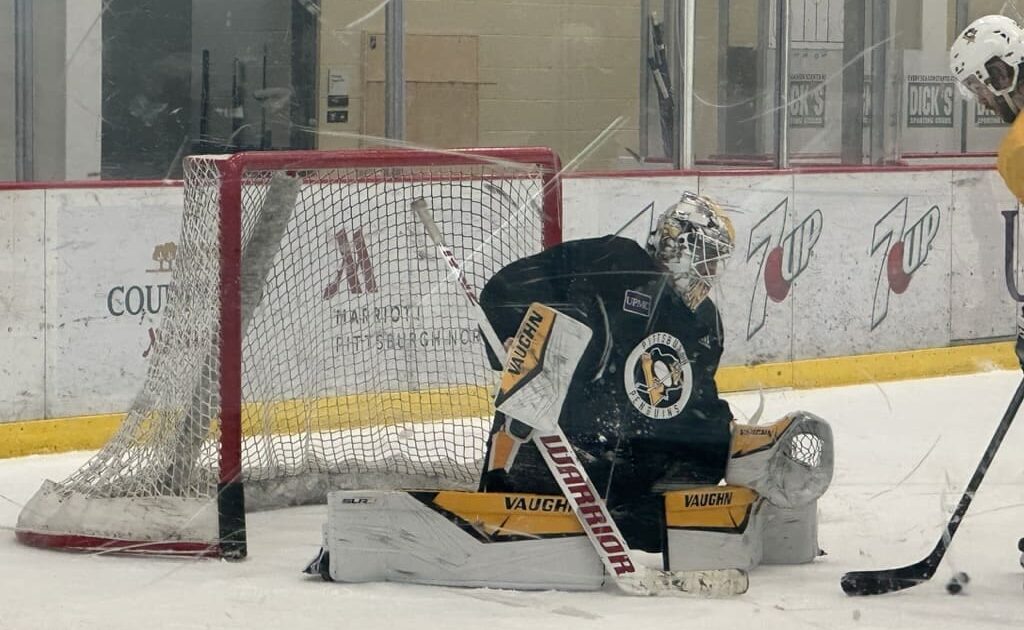 Pittsburgh Penguins, Alex Nedeljkovic, NHL trade talk