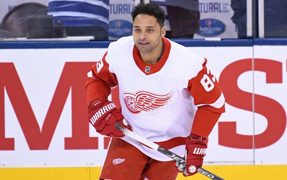 Pittsburgh Penguins Trade Rumors Trevor Daley