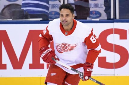 Pittsburgh Penguins Trade Rumors Trevor Daley