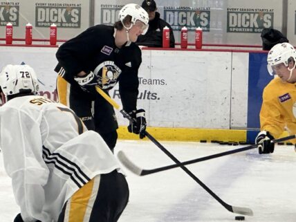 Owen Pickering, Pittsburgh penguins prospects