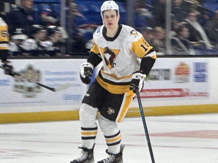 Pittsburgh Penguins, WBS Penguins, Jesse Puljujarvi