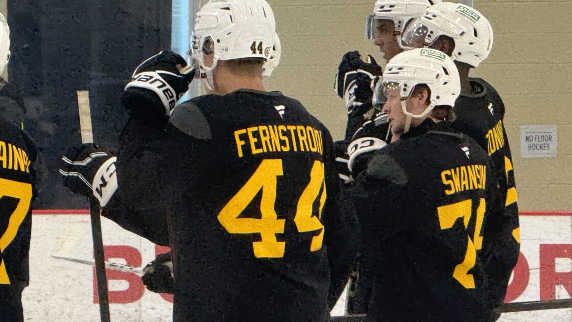 Pittsburgh Penguins prospects: Melvin Fersntrom, Mac Swanson
