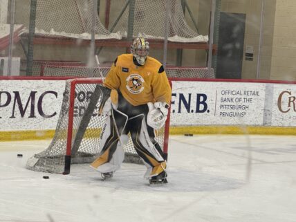 Gabriel D'Aigle, Pittsburgh Penguins prospects