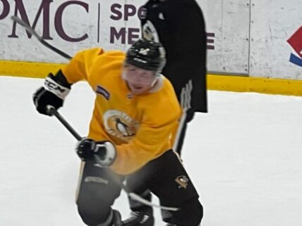 Pittsburgh Penguins trade Rem Pitlick