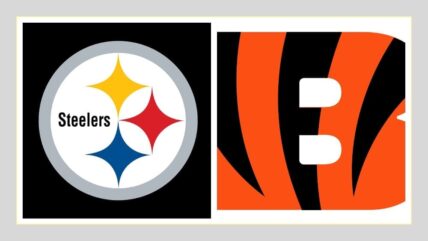 Pittsburgh Steelers Cincinnati Bengals