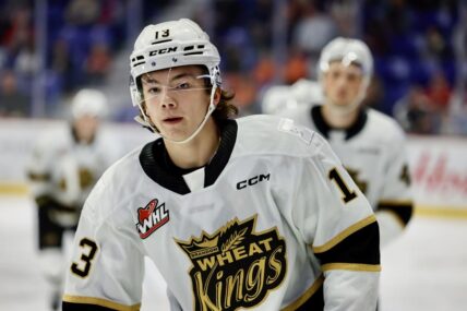 Pittsburgh Penguins potential draft picks, Roger McQueen