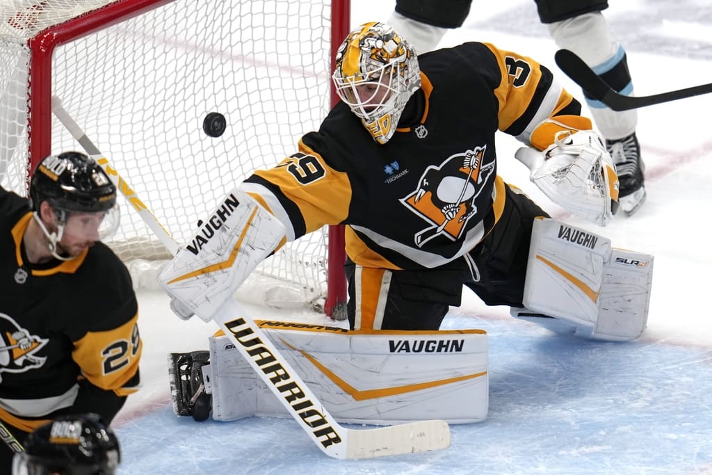 Pittsburgh Penguins game, Alex Nedeljkovic, Analysis