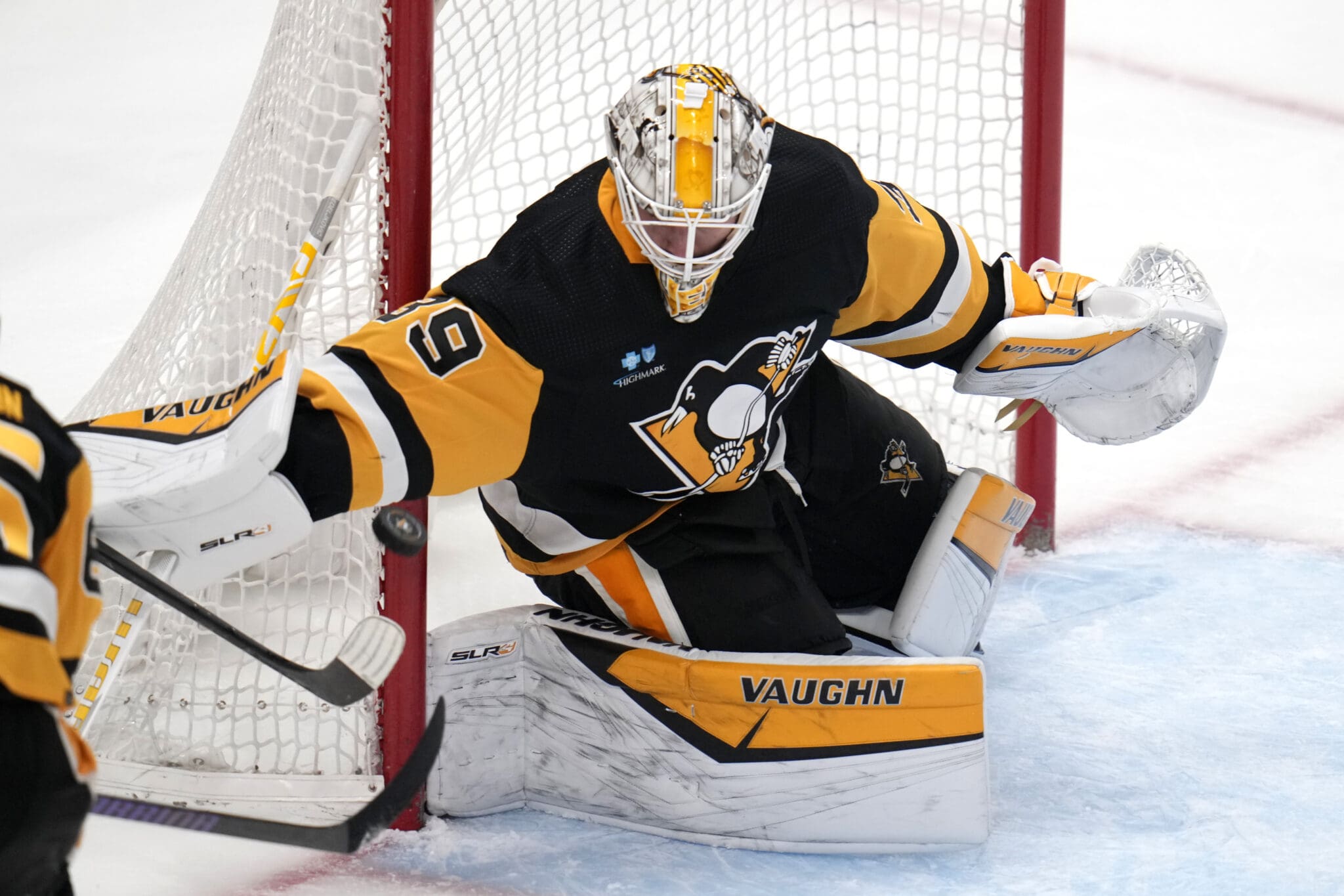 Alex Nedeljkovic, Pittsburgh Penguins