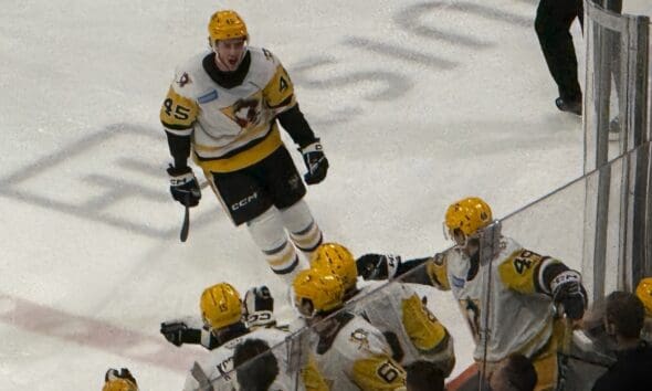 Harrison Brunicke, Pittsburgh Penguins prospect