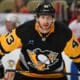 Pittsburgh Penguins, Jansen Harkins