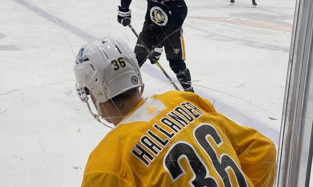 Pittsburgh Penguins, Filip Hallander