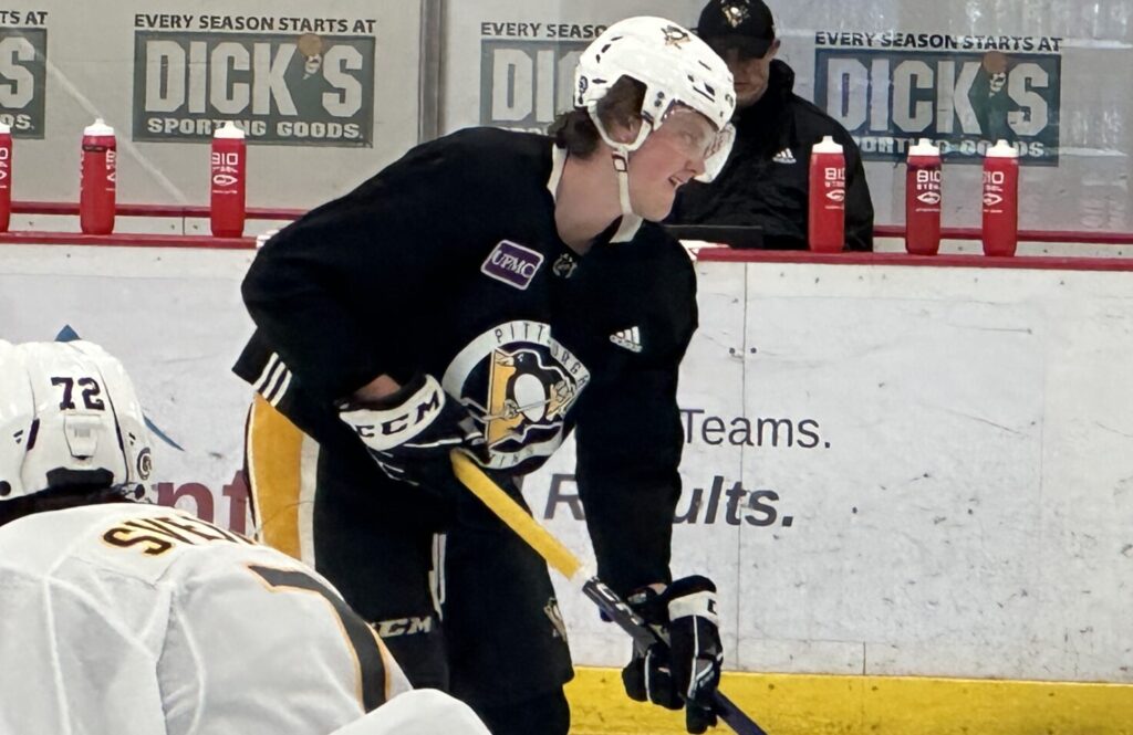 Penguins Sign Pickering, New Prospects For WBS Playoffs