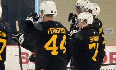 Pittsburgh Penguins prospects: Melvin Fersntrom, Mac Swanson