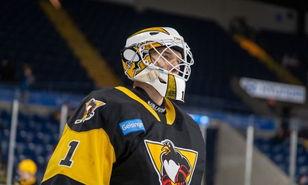 Sergei Murashov