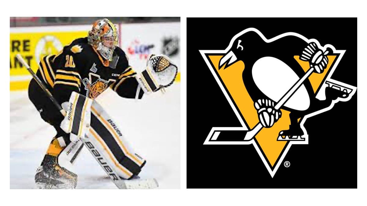 Pittsburgh Penguins Draft Prospect- Gabriel D'Aigle